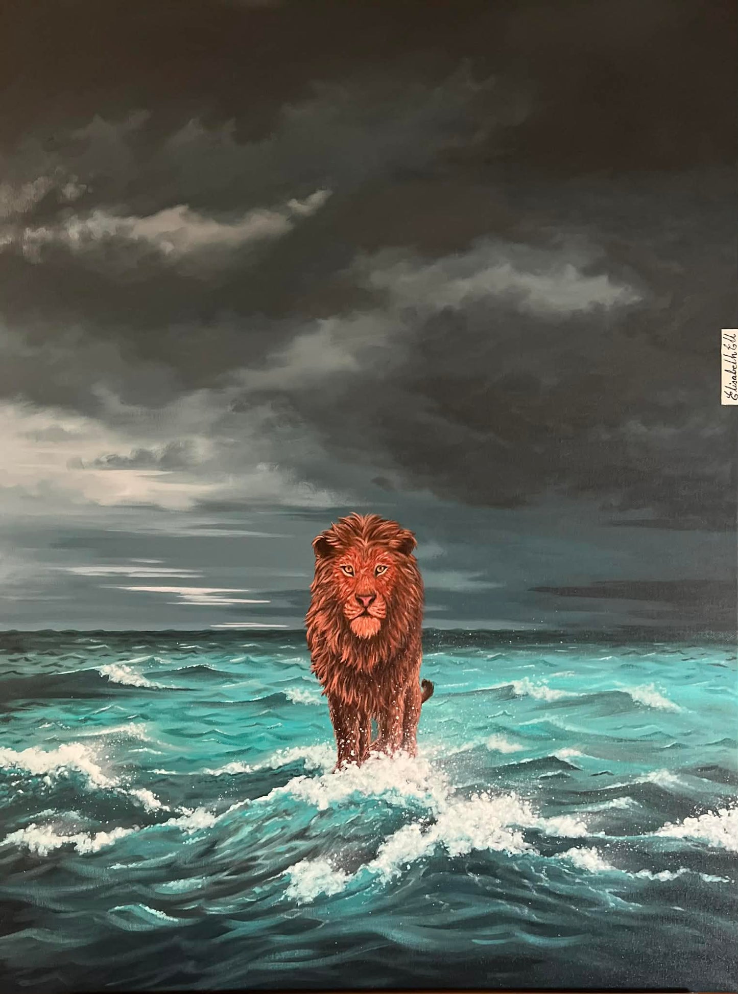 Hope through the storm