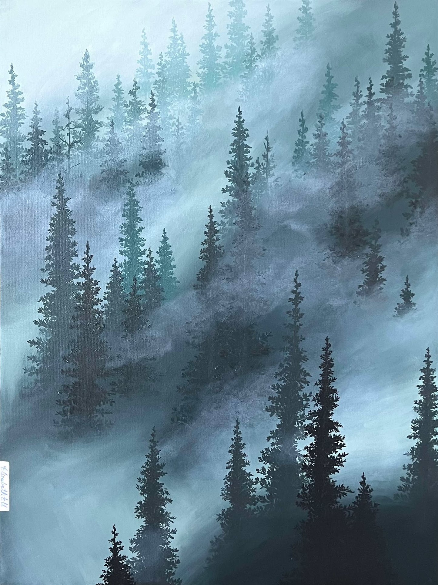 Imagine a forest